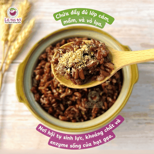 gao-lut-nguyen-cam-2 Gạo lứt đỏ nguyên cám