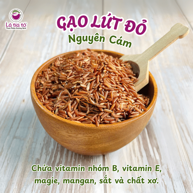 gao-lut-nguyen-cam-3