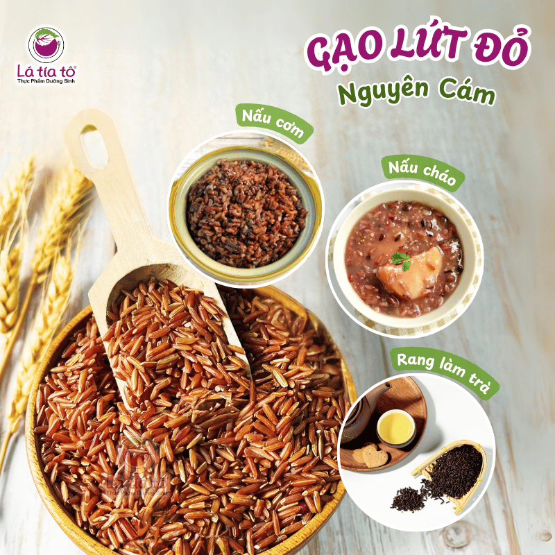 gao-lut-nguyen-cam-4