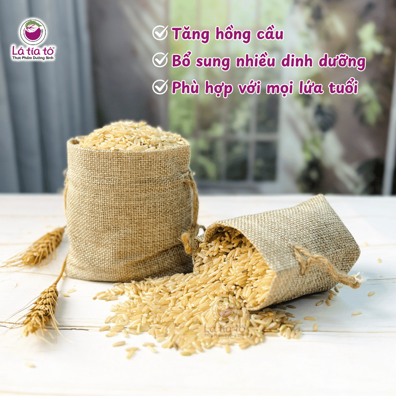 gao-lut-trang-vung-cao-1