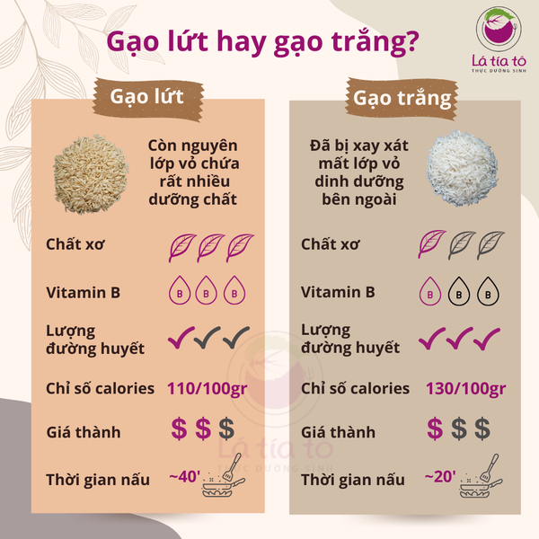 gao-lut-va-gao-trang-la-tia-to-4e85a174-41c4-446a-ad60-02d3647ddbec Gạo lứt đỏ nguyên cám