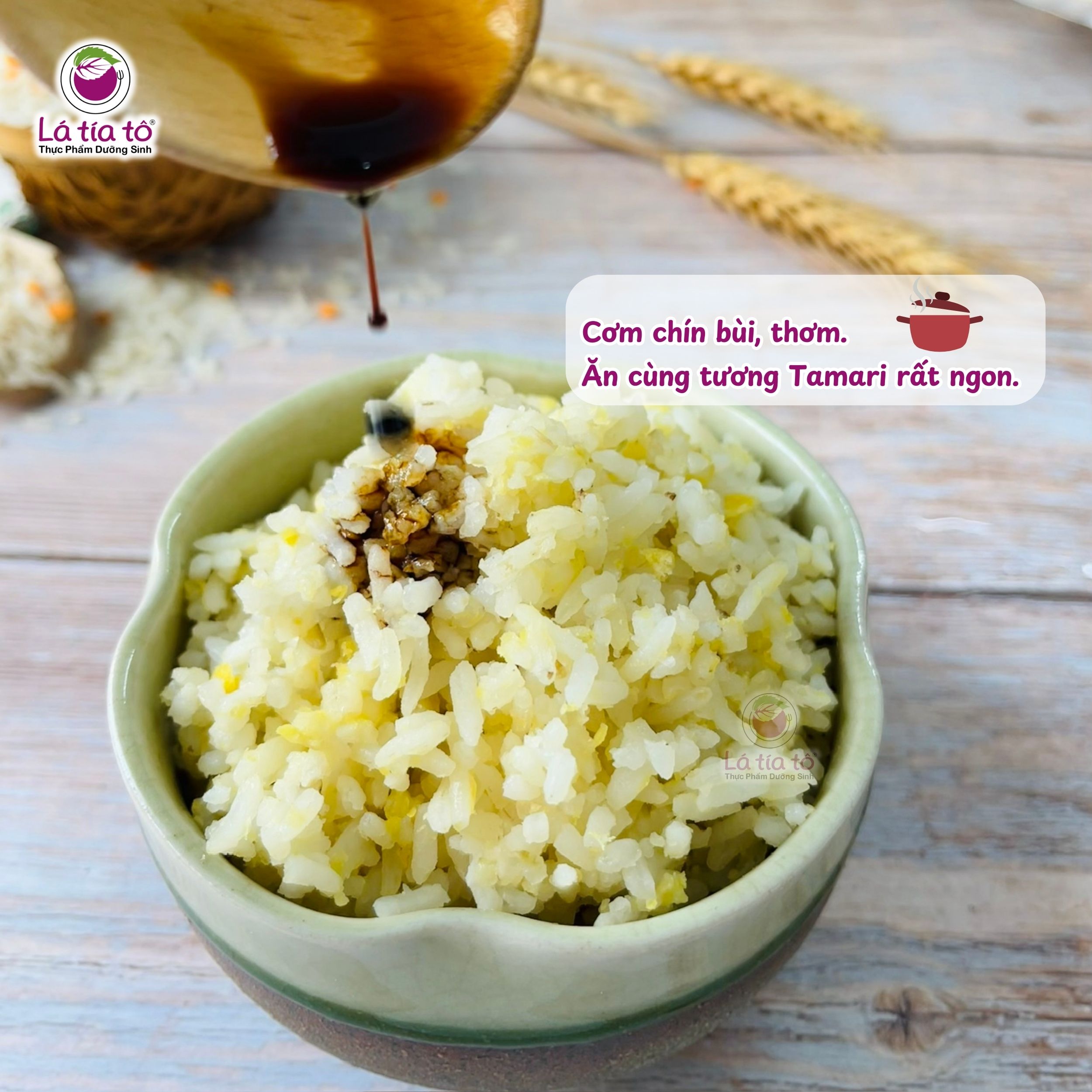 gao-xat-doi-dau-lang4