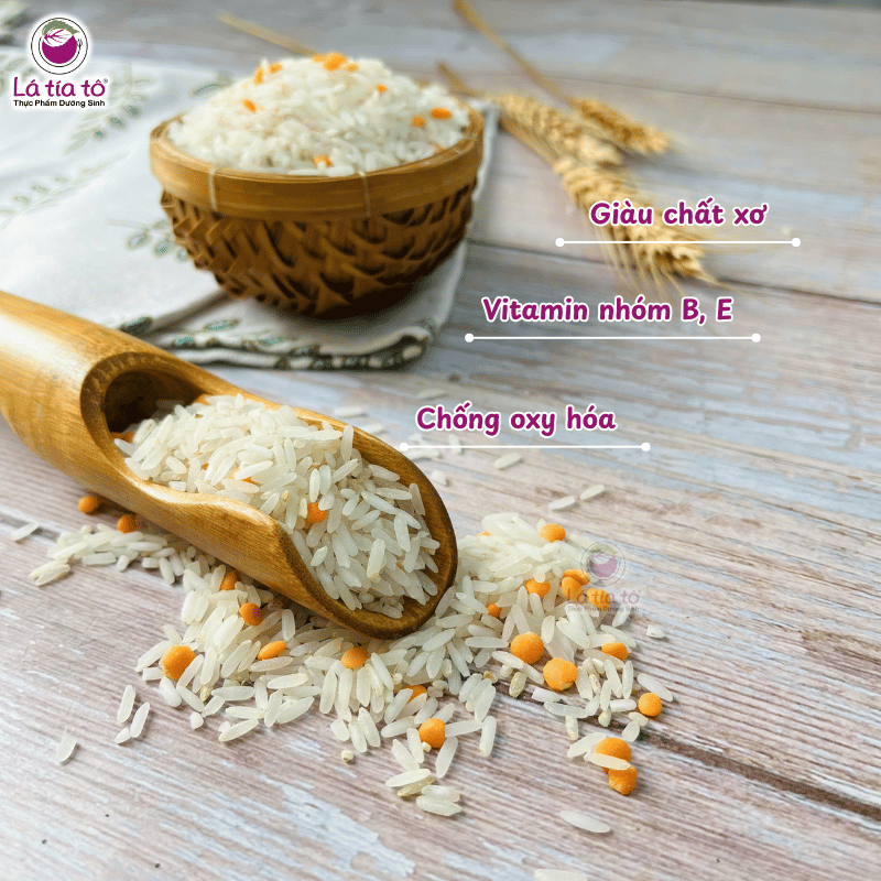 gao-xat-doi-dau-lang5