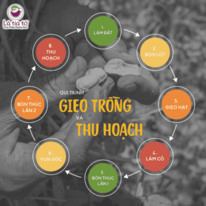 Bơ đậu phộng xay mịn tự nhiên 210gr