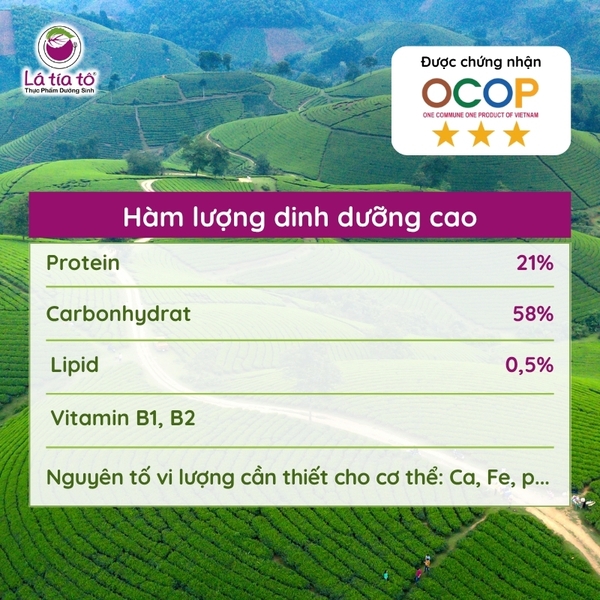 xich-tieu-dau-an-hoa-4 Xích tiểu đậu/ Đậu đỏ hạt nhỏ